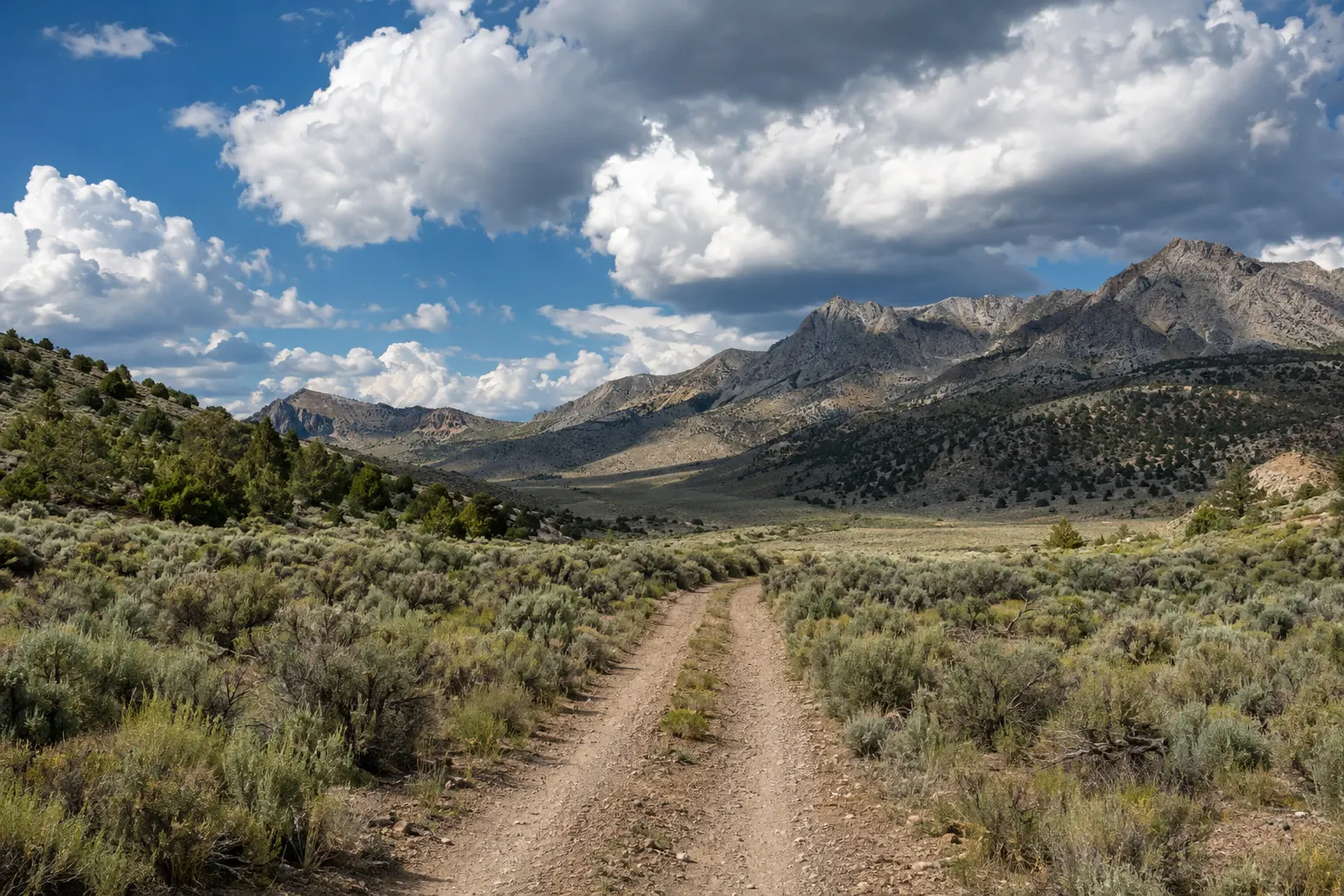 Dirt two-track crossing a sagebrush valley toward a desert mountain range under big clouds